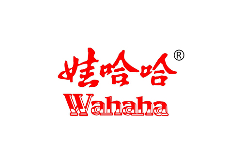 洛阳娃哈哈一体式冷凝锅炉高效灭菌案例