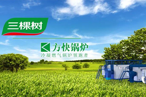 方快锅炉与三棵树集团深化战略合作 共筑绿色制造新标杆